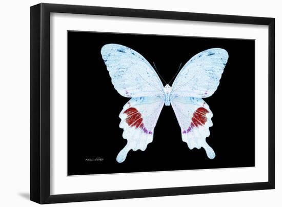 Miss Butterfly Hermosanus - X-Ray Black Edition-Philippe Hugonnard-Framed Photographic Print