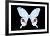 Miss Butterfly Hermosanus - X-Ray Black Edition-Philippe Hugonnard-Framed Photographic Print