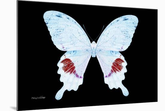 Miss Butterfly Hermosanus - X-Ray Black Edition-Philippe Hugonnard-Mounted Photographic Print