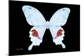 Miss Butterfly Hermosanus - X-Ray Black Edition-Philippe Hugonnard-Mounted Photographic Print