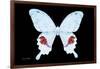 Miss Butterfly Hermosanus - X-Ray Black Edition-Philippe Hugonnard-Framed Photographic Print