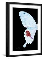 Miss Butterfly Hermosanus - X-Ray Left Black Edition-Philippe Hugonnard-Framed Photographic Print