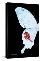 Miss Butterfly Hermosanus - X-Ray Left Black Edition-Philippe Hugonnard-Stretched Canvas