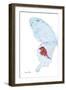 Miss Butterfly Hermosanus - X-Ray Left White Edition-Philippe Hugonnard-Framed Photographic Print