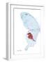 Miss Butterfly Hermosanus - X-Ray Left White Edition-Philippe Hugonnard-Framed Photographic Print