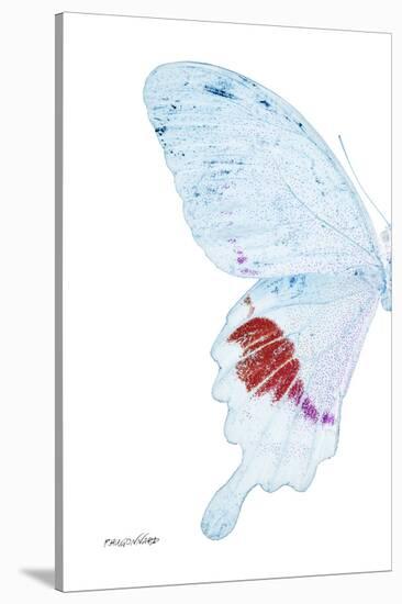 Miss Butterfly Hermosanus - X-Ray Left White Edition-Philippe Hugonnard-Stretched Canvas