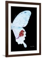 Miss Butterfly Hermosanus - X-Ray Right Black Edition-Philippe Hugonnard-Framed Premium Photographic Print