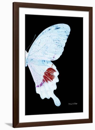 Miss Butterfly Hermosanus - X-Ray Right Black Edition-Philippe Hugonnard-Framed Premium Photographic Print