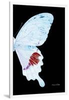Miss Butterfly Hermosanus - X-Ray Right Black Edition-Philippe Hugonnard-Framed Photographic Print