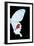 Miss Butterfly Hermosanus - X-Ray Right Black Edition-Philippe Hugonnard-Framed Photographic Print