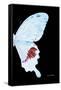 Miss Butterfly Hermosanus - X-Ray Right Black Edition-Philippe Hugonnard-Framed Stretched Canvas