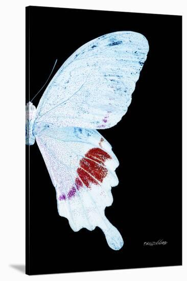 Miss Butterfly Hermosanus - X-Ray Right Black Edition-Philippe Hugonnard-Stretched Canvas