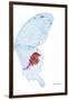 Miss Butterfly Hermosanus - X-Ray Right White Edition-Philippe Hugonnard-Framed Photographic Print