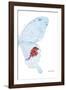 Miss Butterfly Hermosanus - X-Ray Right White Edition-Philippe Hugonnard-Framed Photographic Print