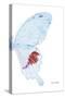 Miss Butterfly Hermosanus - X-Ray Right White Edition-Philippe Hugonnard-Stretched Canvas