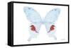 Miss Butterfly Hermosanus - X-Ray White Edition-Philippe Hugonnard-Framed Stretched Canvas