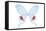 Miss Butterfly Hermosanus - X-Ray White Edition-Philippe Hugonnard-Framed Stretched Canvas