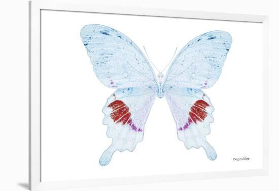 Miss Butterfly Hermosanus - X-Ray White Edition-Philippe Hugonnard-Framed Photographic Print