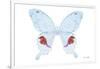 Miss Butterfly Hermosanus - X-Ray White Edition-Philippe Hugonnard-Framed Photographic Print