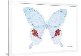 Miss Butterfly Hermosanus - X-Ray White Edition-Philippe Hugonnard-Framed Photographic Print