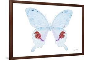 Miss Butterfly Hermosanus - X-Ray White Edition-Philippe Hugonnard-Framed Photographic Print