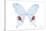 Miss Butterfly Hermosanus - X-Ray White Edition-Philippe Hugonnard-Stretched Canvas