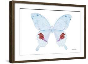 Miss Butterfly Hermosanus - X-Ray White Edition-Philippe Hugonnard-Framed Photographic Print