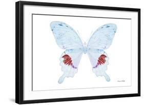 Miss Butterfly Hermosanus - X-Ray White Edition-Philippe Hugonnard-Framed Photographic Print