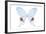 Miss Butterfly Hermosanus - X-Ray White Edition-Philippe Hugonnard-Framed Photographic Print