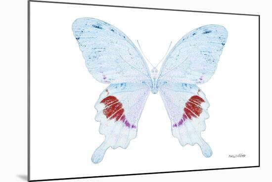 Miss Butterfly Hermosanus - X-Ray White Edition-Philippe Hugonnard-Mounted Photographic Print