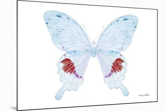 Miss Butterfly Hermosanus - X-Ray White Edition-Philippe Hugonnard-Mounted Photographic Print