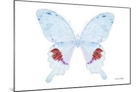 Miss Butterfly Hermosanus - X-Ray White Edition-Philippe Hugonnard-Mounted Photographic Print