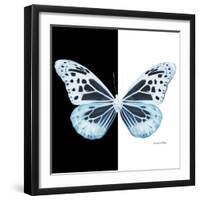 Miss Butterfly Melaneus Sq - X-Ray B&W Edition-Philippe Hugonnard-Framed Photographic Print