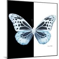 Miss Butterfly Melaneus Sq - X-Ray B&W Edition-Philippe Hugonnard-Mounted Photographic Print