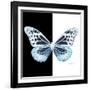 Miss Butterfly Melaneus Sq - X-Ray B&W Edition-Philippe Hugonnard-Framed Photographic Print