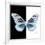 Miss Butterfly Melaneus Sq - X-Ray B&W Edition-Philippe Hugonnard-Framed Photographic Print