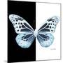 Miss Butterfly Melaneus Sq - X-Ray B&W Edition-Philippe Hugonnard-Mounted Photographic Print