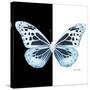 Miss Butterfly Melaneus Sq - X-Ray B&W Edition-Philippe Hugonnard-Stretched Canvas