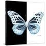 Miss Butterfly Melaneus Sq - X-Ray B&W Edition-Philippe Hugonnard-Stretched Canvas