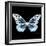 Miss Butterfly Melaneus Sq - X-Ray Black Edition-Philippe Hugonnard-Framed Premium Photographic Print