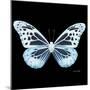 Miss Butterfly Melaneus Sq - X-Ray Black Edition-Philippe Hugonnard-Mounted Photographic Print