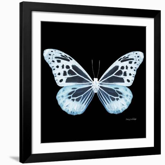 Miss Butterfly Melaneus Sq - X-Ray Black Edition-Philippe Hugonnard-Framed Photographic Print