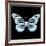 Miss Butterfly Melaneus Sq - X-Ray Black Edition-Philippe Hugonnard-Framed Photographic Print