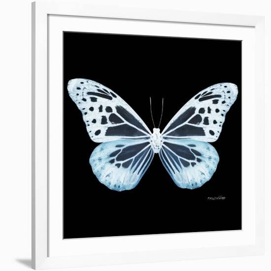 Miss Butterfly Melaneus Sq - X-Ray Black Edition-Philippe Hugonnard-Framed Photographic Print