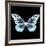 Miss Butterfly Melaneus Sq - X-Ray Black Edition-Philippe Hugonnard-Framed Photographic Print