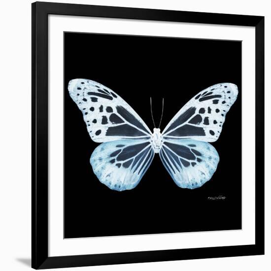 Miss Butterfly Melaneus Sq - X-Ray Black Edition-Philippe Hugonnard-Framed Photographic Print