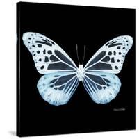 Miss Butterfly Melaneus Sq - X-Ray Black Edition-Philippe Hugonnard-Stretched Canvas