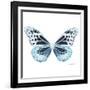 Miss Butterfly Melaneus Sq - X-Ray White Edition-Philippe Hugonnard-Framed Photographic Print