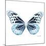 Miss Butterfly Melaneus Sq - X-Ray White Edition-Philippe Hugonnard-Mounted Photographic Print