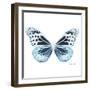 Miss Butterfly Melaneus Sq - X-Ray White Edition-Philippe Hugonnard-Framed Photographic Print